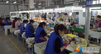 高質量推動快發(fā)展 邵陽洞口經(jīng)濟開發(fā)區(qū)實現(xiàn)高效推進