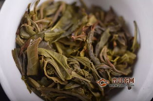 石雨益昌號滑竹梁子 總有一種西雙版納巔峰的味道讓你無法忘懷 產品新聞,普洱茶產品新聞,新品上市新聞 普洱茶網