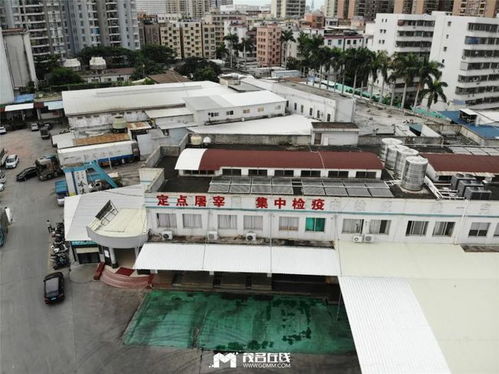 有22年的茂名肉聯(lián)廠,對附近居民影響越來越大 適合建在市區(qū)嗎