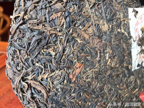 99易昌號的6個版本詳解 經(jīng)典易武大樹茶典范